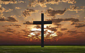 Find Beauty In The Simple Things. Wallpaper