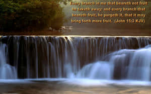 Find Joy In The Beauty Of God's Sacred World. Wallpaper