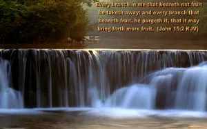 Find Joy In The Beauty Of God's Sacred World. Wallpaper