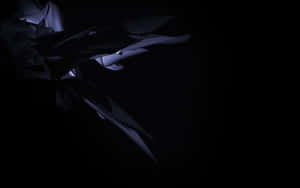 Find What’s Hidden Wallpaper