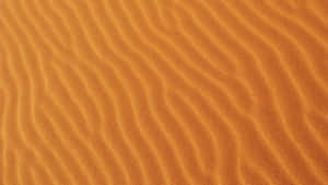 Fine Brown Sand Pattern Wallpaper