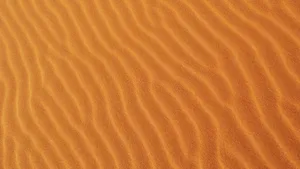 Fine Brown Sand Pattern Wallpaper