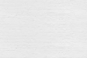 Fine Textured White Brick Wall Wallpaper