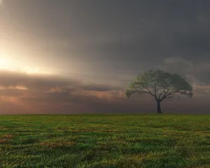 Fine Weather Landscape Wallpaper