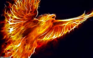 Fire Eagle Wallpaper