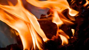 Fire Leaves Heat Wallpaper