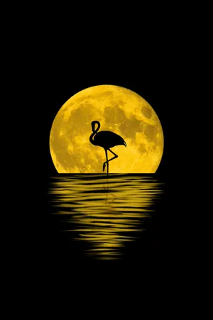 Flamingo In Yellow Moonlight Wallpaper