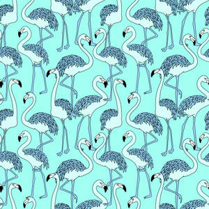 Flamingo Pattern In Turquoise Wallpaper