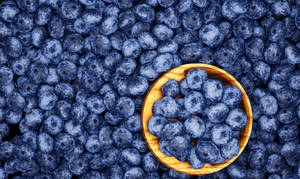 Flat Lay Of Blueberries Bed Wallpaper