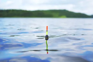 Floating Fishing Bobber Sea Wallpaper