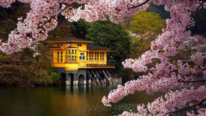Floating House Japanese Nature Wallpaper