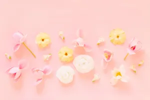 Floral Pink Pastel Aesthetic Tumblr Laptop Wallpaper
