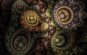 Floral Spiral Pattern Wallpaper