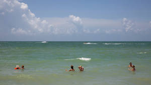 Florida Beach Group Of People Swimming Wallpaper