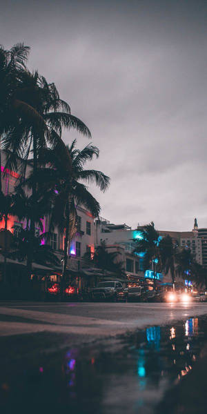 Florida Night Street Wallpaper