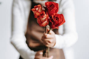 Florist Red Roses Wallpaper