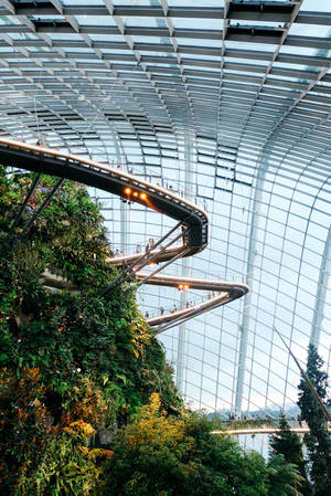 Flower Dome In Singapore Wallpaper