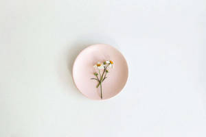 Flower In Pastel Pink Aesthetic Design Wallpaper