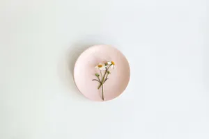 Flower In Pastel Pink Aesthetic Design Wallpaper