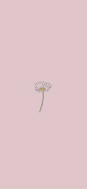 Flower Line Art Iphone 2021 Wallpaper