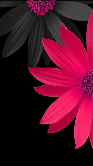 Flowers mobile wallpapers discount
