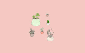 Flower Pot Pink Aesthetic Wallpaper