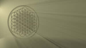 Flowerof Life Shadow Art Wallpaper