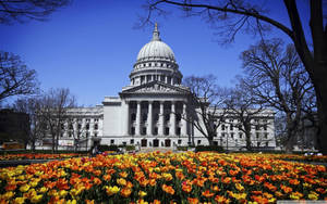 Flowers In Front Capitol Hill Wallpaper