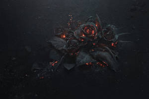 Flowers On 4k Fire Wallpaper