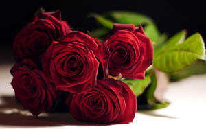 Flowers Red Rose Wallpaper - Awesome Wallpaper