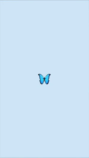 Flutter Through Life✨ Wallpaper