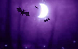 Flying Bat Wallpaper