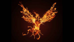 Flying Fire Phoenix Hd Wallpaper