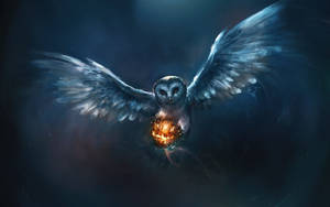 Flying Owl Halloween Lantern Wallpaper