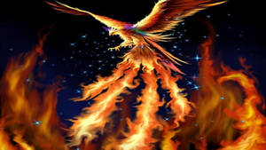 Flying Phoenix On Fire Wallpaper