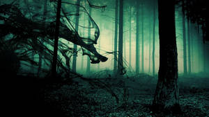 Foggy Forest In Moonlight Wallpaper