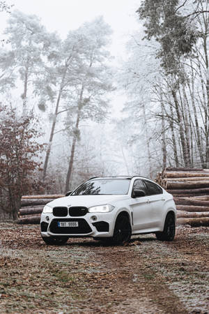 Foggy Forest White Car Portrait Wallpaper