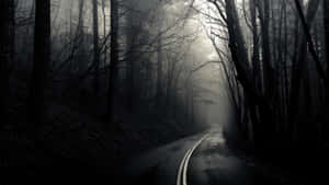 Foggy Forests Evoke A Dark And Depressing Mood Wallpaper