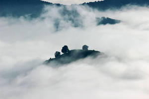 Foggy Mountain Hillside Wallpaper