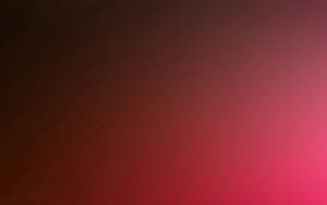 Follow The Gradient Of Pink For A Beautiful Look Wallpaper