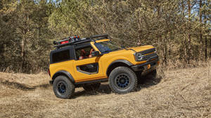 Ford Bronco On Dried Grass Wallpaper