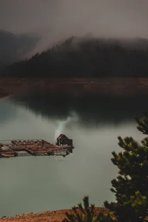 Forest Lake House Wallpaper