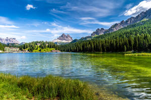 Forest Lake Misurina Wallpaper