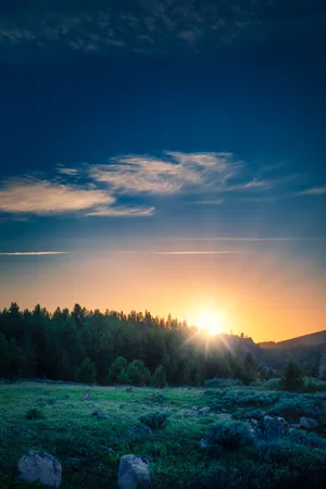 Forest Mountain Landscape Sunrise Wallpaper