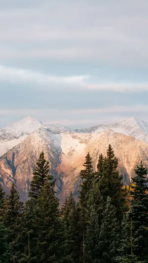 Forest Mountain Wallpaper