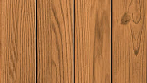 Forest Sunset Landscape Wallpaper