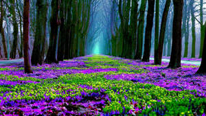 Forest With Purple Flowers Wallpaper