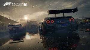 Forza Motorsport 7 Racing Cars Rear Wallpaper