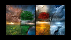 Four Seasons Wallpaper