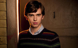 Freddie Highmore Serious Look Wallpaper